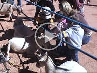 Clip 01 18